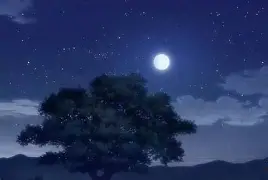 好博足球官网-今晚本菲卡调整名单以备CBA季后赛，临场应变环节打磨，悬念犹存，临场指挥获称赞